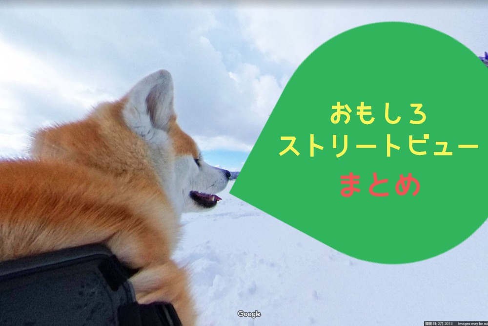 Googleストリートビューおもしろ撮影事例まとめ